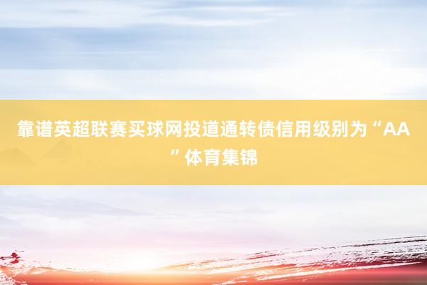 靠谱英超联赛买球网投道通转债信用级别为“AA”体育集锦