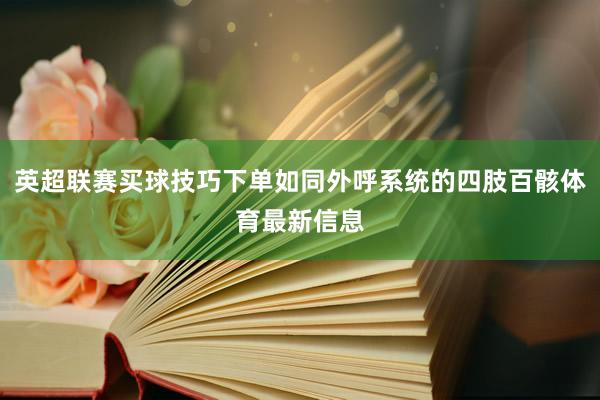 英超联赛买球技巧下单如同外呼系统的四肢百骸体育最新信息