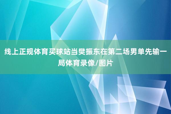 线上正规体育买球站当樊振东在第二场男单先输一局体育录像/图片