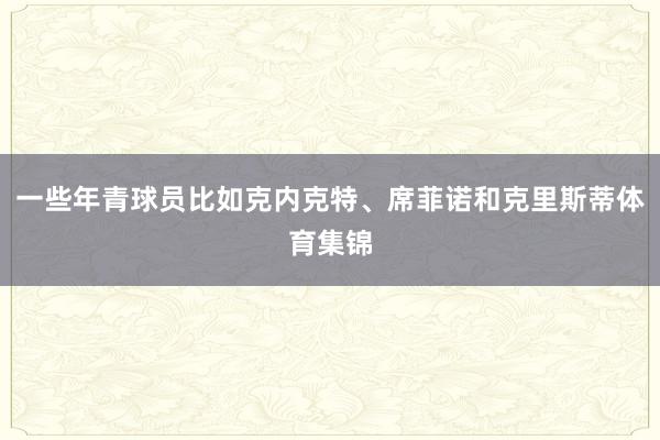 一些年青球员比如克内克特、席菲诺和克里斯蒂体育集锦