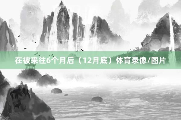 在被来往6个月后（12月底）体育录像/图片