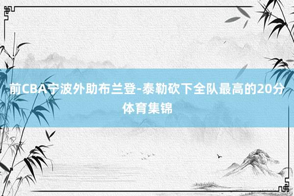 前CBA宁波外助布兰登-泰勒砍下全队最高的20分体育集锦